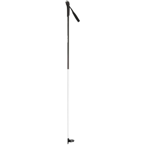 Rossignol FT 500 XC Ski Poles Sz 150cm (60in)