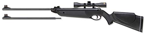 Beeman Black Cub Dual Caliber Air Rifle Combo, One Size (1022)