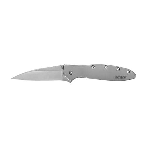 Kershaw Leek Pocket Knife, 3' 14C28N Stainless Steel Drop Point Blade, Spring Assisted Knife, Folding EDC