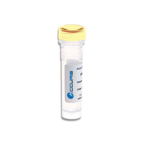 Accuris High Fidelity DNA Polymerase, 1000 units