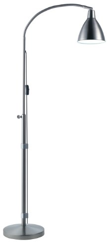 Daylight Flexi-Vision Floor Lamp