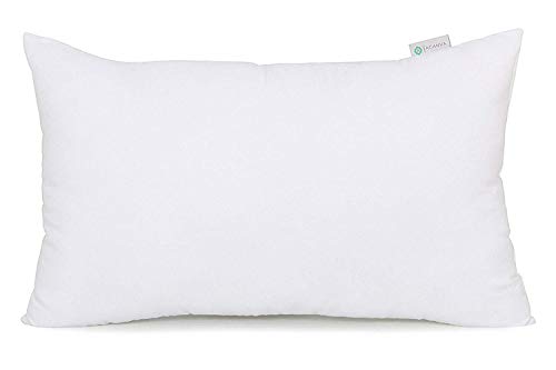Acanva Polyester Decorative Rectangle Throw Pillow Inserts, Hypoallergenic Form Stuffer Cushion Sham Filler, 16x26, White, 1 Count (Pack of 1)