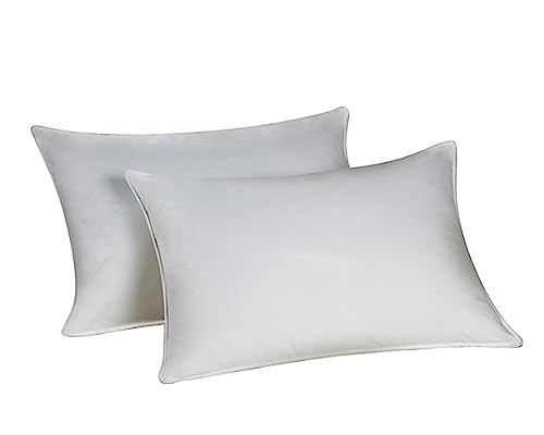 Envirosleep Dream Surrender Two Queen Cluster Pillow Set (2 Pillows)