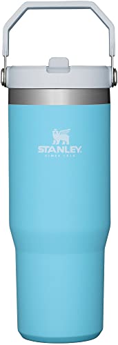 Stanley IceFlow Stainless Steel Tumbler with Straw - Vacuum Insulated Water Bottle for Home, Office or Car Reusable Cup Leak Resistant Flip Cold 12 Hours Iced 2 Days (Pool)