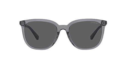 Coach HC8338U Universal Fit Sunglasses, Transparent Dark Grey/Dark Grey Solid, 55 mm