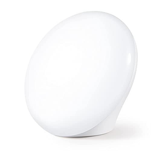 LASTAR Sun Lamp, 10,000 Lux Sunlight Lamp with Touch Control, 5 Brightness Level & 60Min Timer, One-Max Sun Lamp with Memory Function for Home/Office(White)