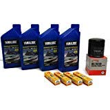 YAMAHA SVHO 1.8L WaveRunner Oil Change Kit w/Filter FX-SVHO FZR-SVHO FZS-SVHO GP1800 GP1800R 69J-13440-03-00 NGK Spark Plugs Maintenance Kit