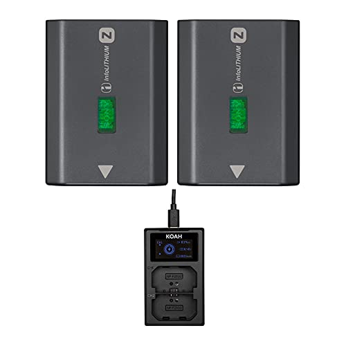 Sony NPFZ100 Z-Series Rechargeable Camera Battery (Two-Pack) Bundle with Dual Charger (3 Items)