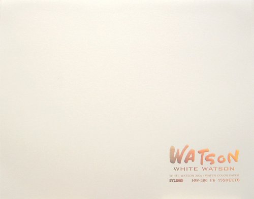 Muse HW-308 F8 Watercolor Paper, White Watson Blocks, F8, 10.6 oz (300 g), White, Pack of 15