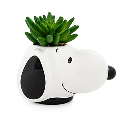 Peanuts Snoopy Face Ceramic Mini Planter With Artificial Succulent | Small Flower Pot, Faux Indoor Plants For Desk Shelf, Home Decor Trinket Tray | Cute Charlie Brown Gifts and Collectibles