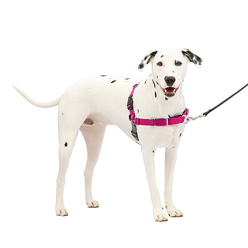 PetSafe Easy Walk Dog Harness - Stop Pulling & Teach Leash Manners - Prevent Pulling on Walks - Medium/Large, Raspberry/Gray