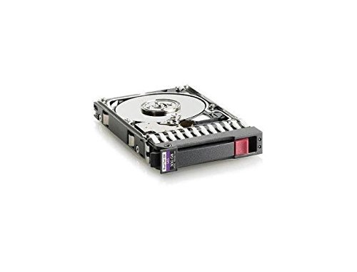 HP EG0300FAWHV 300GB 10k 6G 2.5 SFF SAS DP Hard Drive (Renewed)