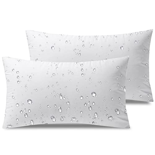Phantoscope Premium Outdoor Pillow Inserts - Pack of 2 Square Form Water Resistant Polyester Throw Pillows, Couch Sham Cushion Stuffer, 18 X 18 inches