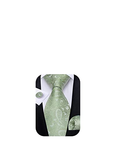 DiBanGu Men Light Green Floral Tie Sage Green Paisley Tie Pocket Square Set Silk Wedding Prom