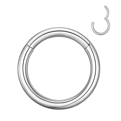 MissNity 10 Gauge 10mm Clicker Septum Rings 10G Hinged Segment Hoop for Cartilage Earlobe Piercings Jewelry in 316L Surgical Steel, Silver