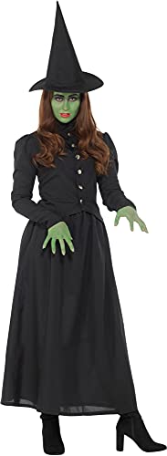 Karnival Costumes Storytime Evil Wicked Witch Women's Costume Medium 10-12