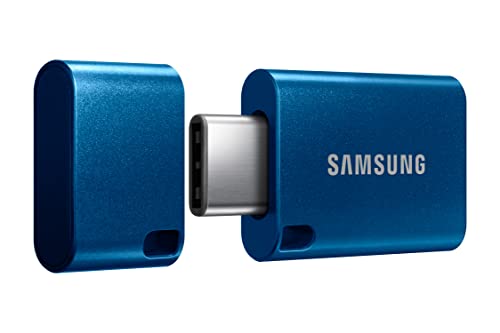 Samsung Type-C USB Flash Drive, 256GB, Transfers 4GB Files in 11 Secs w/Up to 400MB/s 3.13 Read Speeds, Compatible w/USB 3.0/2.0, Waterproof, 2022, Blue, MUF-256DA/AM
