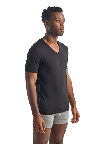 Icebreaker Merino Men's Anatomica Short Sleeve V , Black/Monsoon, Large