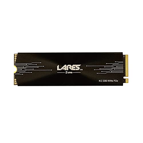 LEVEN JPS600 1TB PCIe NVMe Gen3x4 PCIe M.2 2280 SSD with Thermal Pad and Heat Sink