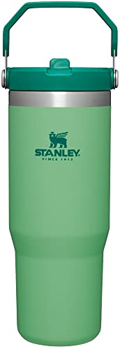 Stanley IceFlow Stainless Steel Tumbler - Vacuum Insulated Water Bottle for Home, Office or Car Reusable Cup with Straw Leak Resistant Flip Cold for 12 Hours or Iced for 2 Days, Jade, 30oz