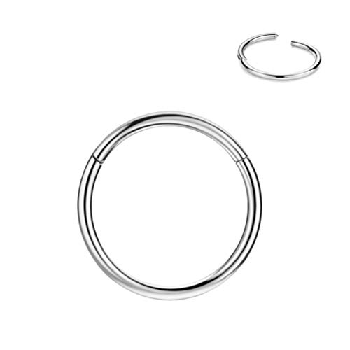 FANSING 16g Cartilage Earring Hoop 16 Gauge Septum Rings 8mm Lip Rings Septum Hoop Seamless Surgical Steel Piercing Jewelry for Helix Rook Daith