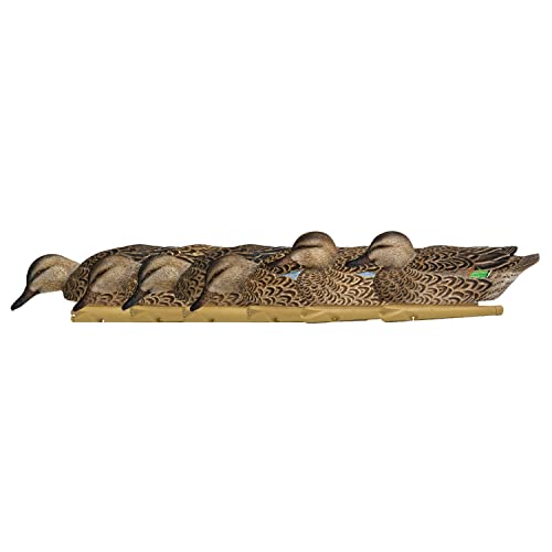 Avian-X Topflight Early Season Teal Durable Ultra Realistic Floating Hunting Duck Decoys, Pack of 6, AVX8079