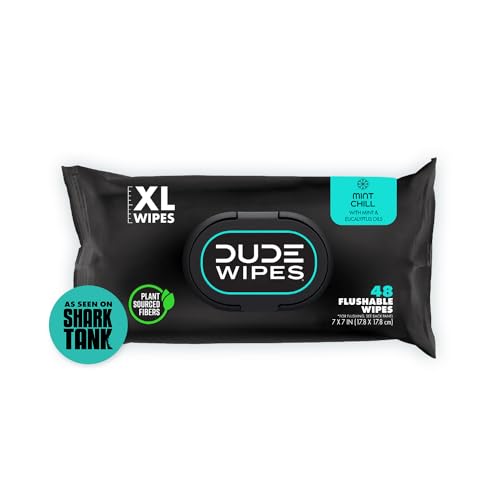 DUDE Wipes - Flushable Wipes - 1 Pack, 48 Wipes - Mint Chill Extra-Large Adult Wet Wipes - Eucalyptus & Tea Tree Oil - Sewer and Septic Safe
