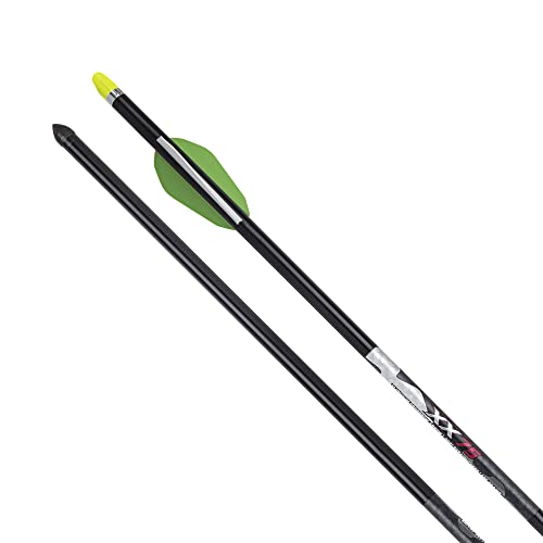 Wicked Ridge XX75-20” 2219 Aluminum Crossbow Arrows, Pack of 6-459-Grains, 003” Straightness - with Alpha-Nock