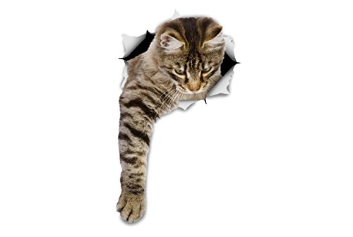 Winston & Bear 3D Cat Stickers - 2 Pack - Tabby Cat Wall Decals - Cat Lover Gifts - Cat Wall Stickers for Bedroom - Fridge - Toilet - Car - Retail Packaged (Reaching Tabby Cat)