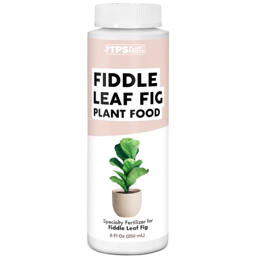 Fiddle Leaf Fig Plant Food for All Fig and Other Ficus Trees, Liquid Houseplant Fertilizer 8 oz (250mL)