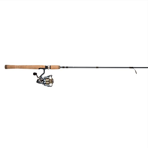 Pflueger PRESSP President Spinning Combo Fishing Reel Rod, Blue/Gold