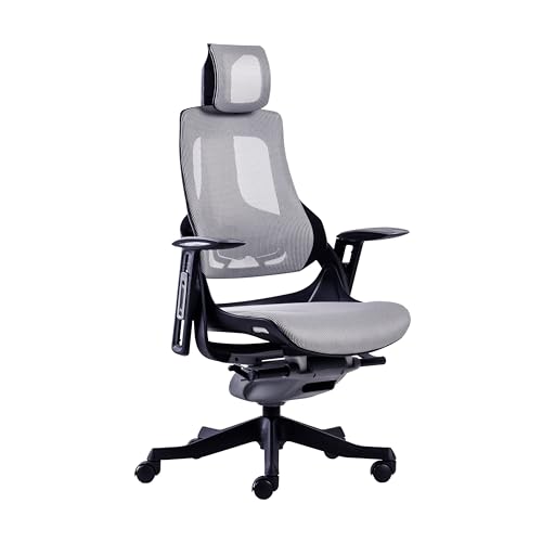 Techni Mobili LUX Ergonomic Executive Breathable Mesh Office Chair Lumbar Support & Adjustable Height Reclining Backrest, Grey