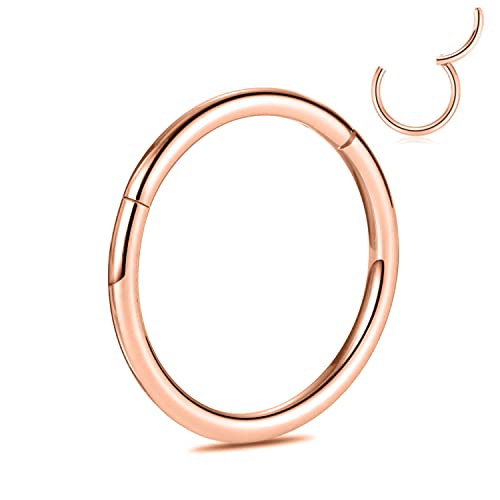 PEAKLINK G23 Titanium 18G Hinged Segment Clicker Nose Ring Hoop Cartilage Earrings Body Piercing 8mm Helix Counch Rose Gold