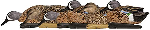 Avian-X Topflight Blue-Winged Teal Durable Ultra Realistic Floating Hunting Duck Decoys, AVX8080, 10' from Breast to Tail, Pack of 6