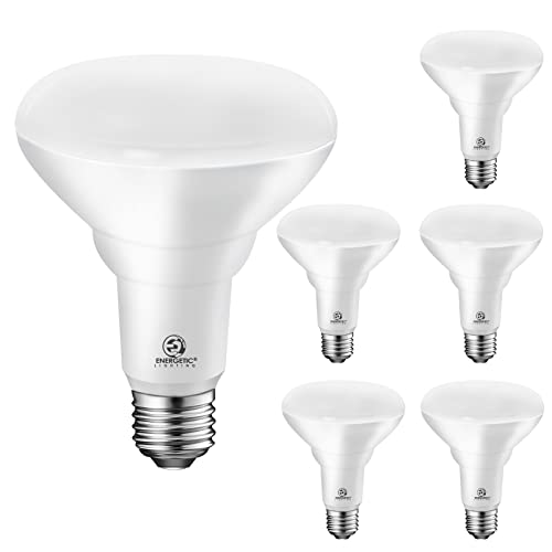 Energetic LED Recessed Light Bulbs BR30, 65W Equivalent, Dimmable, Warm White 3000K, Indoor Flood Lights for Recessed Cans, UL Listed, 6 Pack