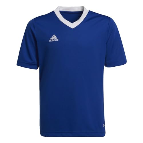 adidas Kids' Entrada 22 Jersey, Team Royal Blue, Medium