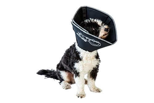 All Four Paws Comfy Cone Pet Cone for Dogs, Cats, X-Large, Black - Comfortable Soft Dog Cone Collar Alternative for After Surgery, Wound Care, Spay, Neuter - Dog and Cat Recovery Collar