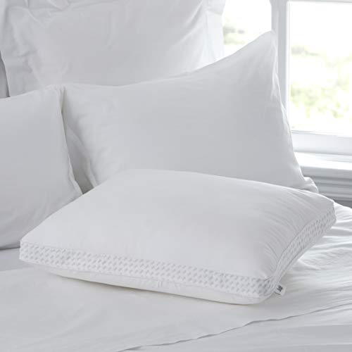 Sealy Essentials Down Alternative & Memory Foam Pillow, Standard/Queen, White