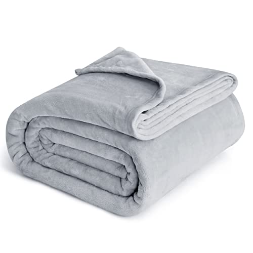 Bedsure Fleece Blanket Queen Blanket Light Grey - Bed Blanket Soft Lightweight Plush Fuzzy Cozy Luxury Microfiber, 90x90 inches