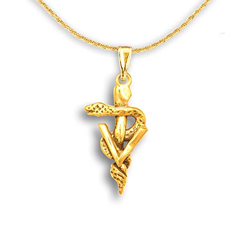 14k Gold Veterinary Caduceus Pendant by The Magic Zoo