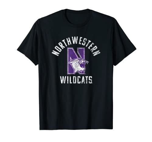 Northwestern University Wildcats Large T-Shirt
