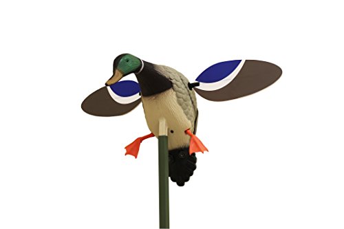MOJO Outdoors Baby Mallard Spinning Wing Duck Decoy, Duck Hunting Gear and Accessories, Drake