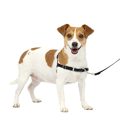 PetSafe Easy Walk No-Pull Dog Harness - The Ultimate Harness to Help Stop Pulling - Take Control & Teach Better Leash Manners - Helps Prevent Pets Pulling on Walks - Small, Charcoal/Black