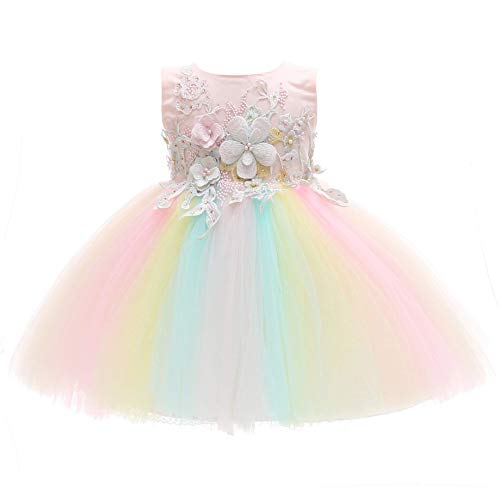 Weileenice Princess Baby Girl Rainbow Dress Holiday Pink Lace Flower Embroidery Infant Christening Baptism Outfit 6M/ 6-12 Toddler Wedding Party First Birthday Bridesmaid Tulle Tutu Dresses Christmas