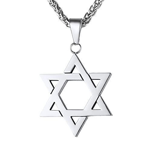 U7 Jewish Megan Star Pendant Stainless Steel Wheat Rope Chain with Star of David Necklace for Men -22 Inch