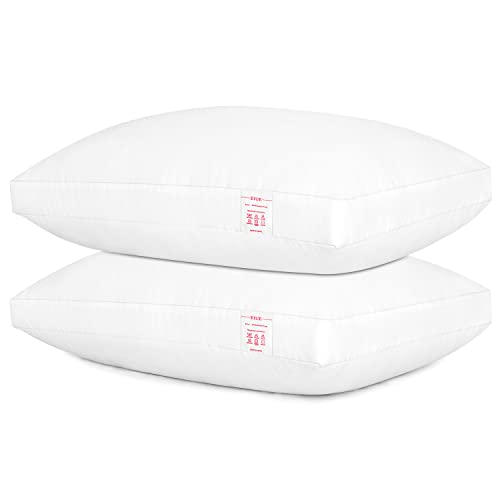 EIUE Bed Pillows for Sleeping 2 Pack Queen Size，Super Soft Down Alternative Microfiber Filled Pillows,20 x 30 Inches,White