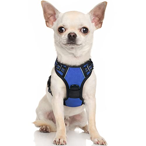 rabbitgoo Dog Harness, No-Pull Pet Harness with 2 Leash Clips, Adjustable Soft Padded Dog Vest, Reflective No-Choke Pet Oxford Vest with Easy Control Handle for Small Dogs, Dazzling Blue,XS