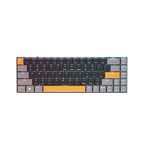 Cherry MX-LP 2.1 Compact Wireless Gaming Keyboard. RGB MX Silver Speed Switches. RGB Lighting Low-Profile MX Precision switches. 65% Size. 68 Keys. (Black & Orange)