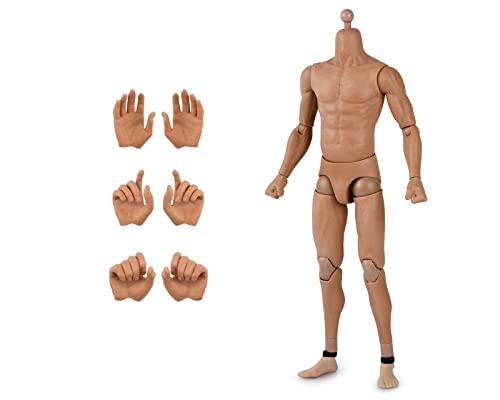 DS. DISTINCTIVE STYLE 1/6 Scale Male Body Narrow Shoulder Standard 12 Inch Action Figure with 8 Interchangeable Hands for Most Head Sculpt
