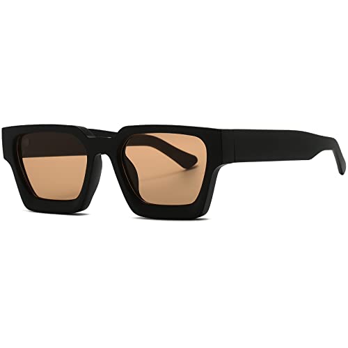 AIEYEZO Square Sunglasses for Women Men Square Thick Frame Sun Glasses Simple Designer Style Shades (Matte Black/Brown)